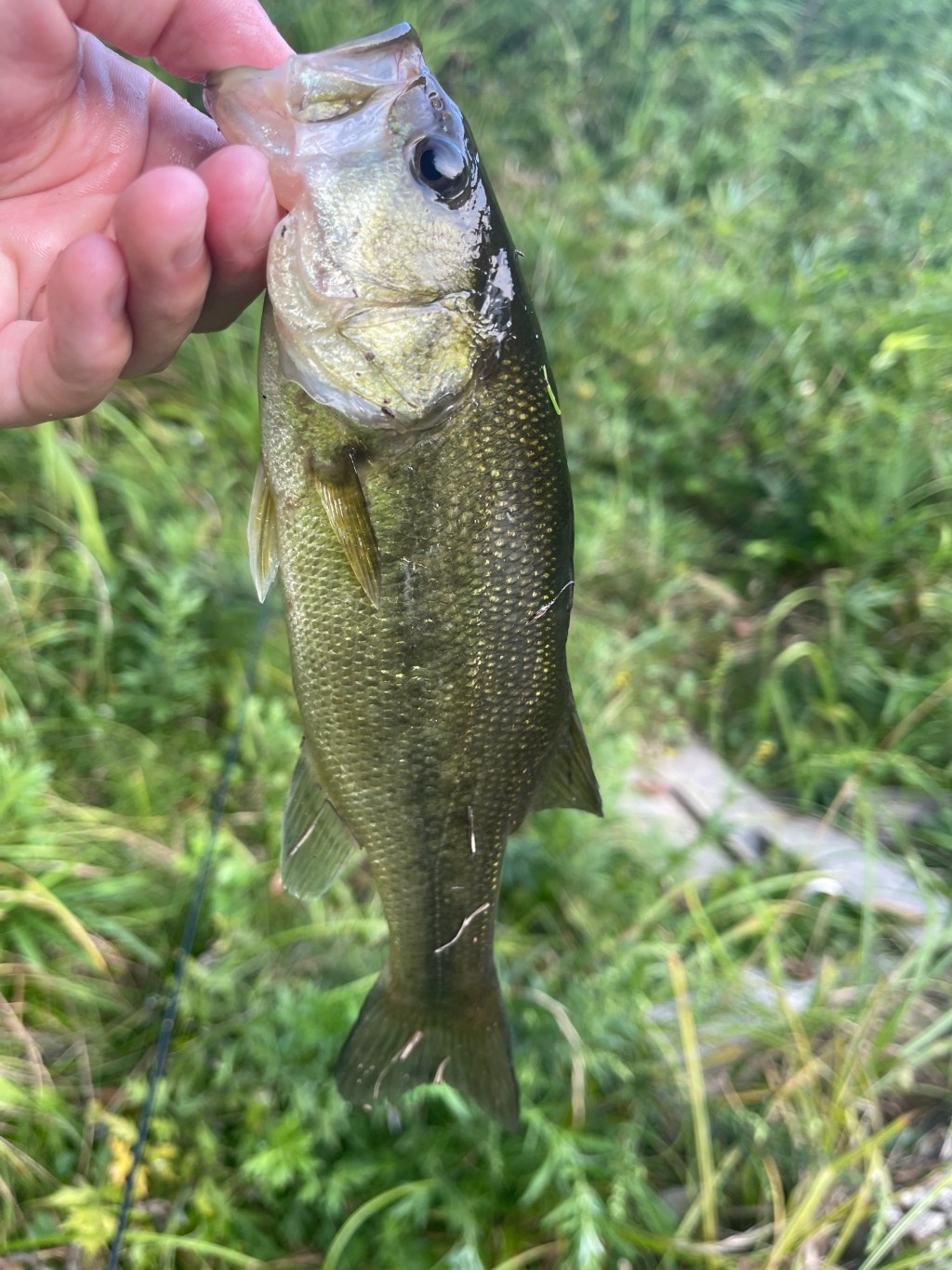 【はじめまして】